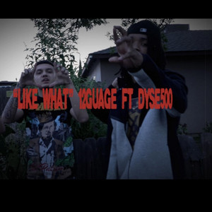 Like What 12gauge by Dyse500