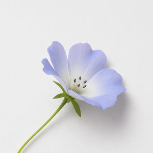 배웅 (Sending Off) by Flow Trigger.