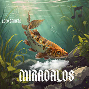 Miradalos by Loco Damers