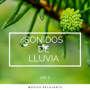 2022 Sonidos de Lluvia vol. 1 album