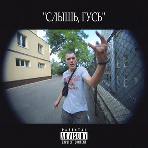 Слышь, гусь