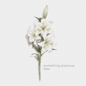 Something Precious by wes