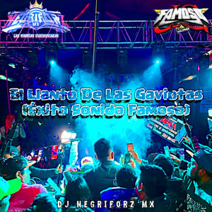 Dj Negriforz MX - Kumbia De Las Gaviotas (Radio Edit)