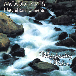 その他 Moodtapes: Contemporary Christmas [DVD] Moodtapes - Contemporary Christmas