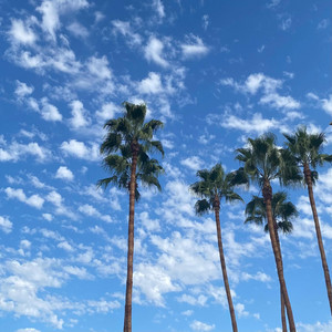 LA Summer