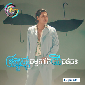 ស្រឡាញ់ធម្មតាតែឈឺធ្ងន់ធ្ងរ by ព្រាប សុវត្ថិ