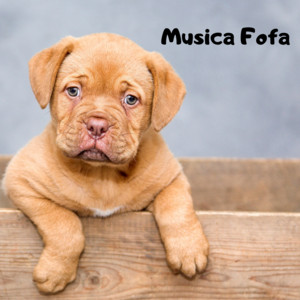 Bruno Portinho Trilhas para filmes - Cute Song 2