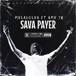 Sava payer