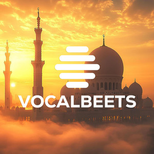 Vocalbeets - Boom (Vocals Only)