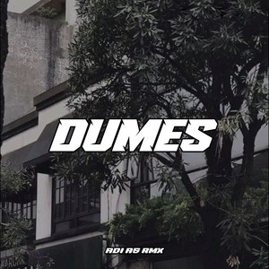 Adi As Rmx - Dumes