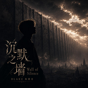 别再问我｜Don't Ask Me Anymore by Blake Zhu