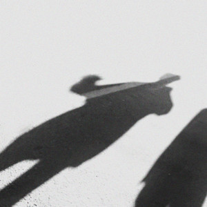 Portada de Shadow