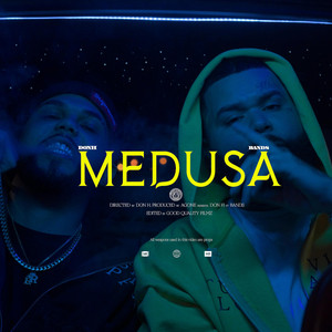 Medusa by Don H, Bands