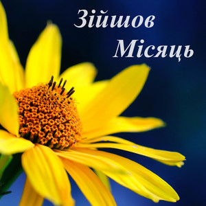 Зійшов місяць, зійшов ясний