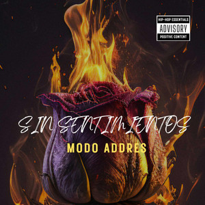 SIN SENTIMIENTO by REBEL MUSIC COMPANY, Modo Addres