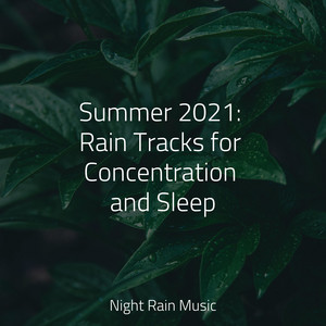 Summer 2021: Rain Tracks for Concentration and Sleep album