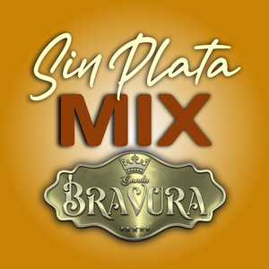 SIN PLATA MIX