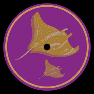 Golden Groove - Papa Nugs Remix by ATST, Papa Nugs