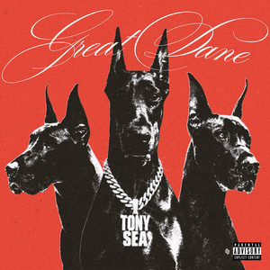 Great Dane by Tony Sea