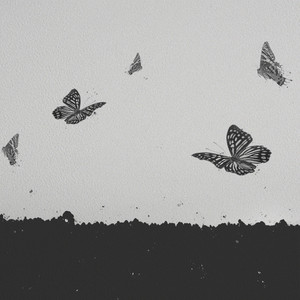 Portada de Metamorphosis