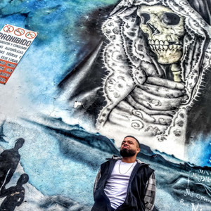 Sebras Magnus - CLICKA FANTE