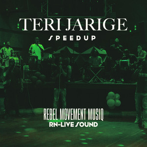 Teri jarige by Rebel movement musiq