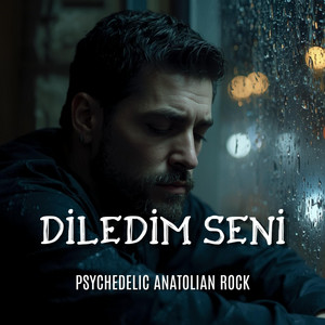 Diledim Seni by Anatolian Rust