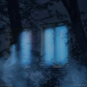 a cold dilemma by still surface