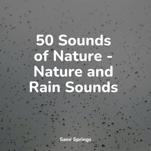 50 Sounds of Nature - Nature and Rain Sounds album