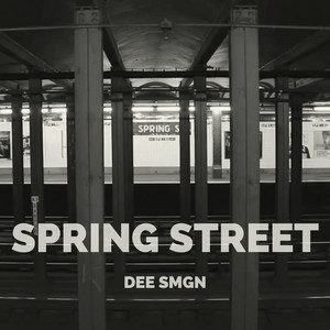 Dee Smgn — Spring Street