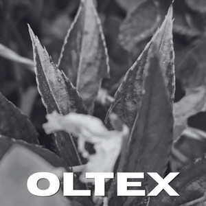 Oltex by Manolo Reyes