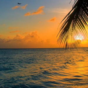 Paradise by Caleb Belkin