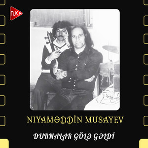 Niyaməddin Musayev - Durnalar Gölə Gəldi