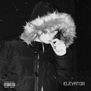 Elevator by Carlo