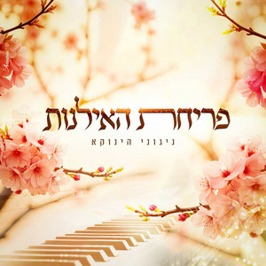 פריחת האילנות by הינוקא - הרב שלמה יהודה בארי