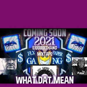 T.C.Fly - WHAT DAT MEAN (feat. Mac Mero)
