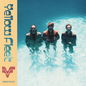 album cover: Immersed