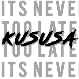 It's Never Too Late cover art