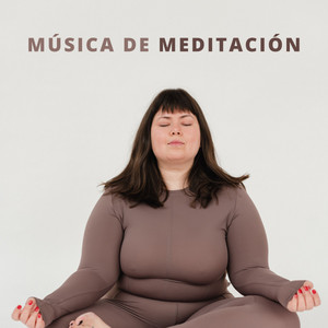 Música De Meditación: Música Terapéutica album