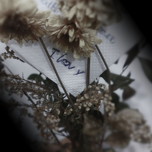 Love U by Pedro Albiero
