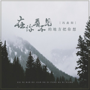 在你看不见的地方把你想 by 冯鑫阳