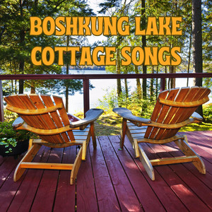 Long Cool Woman (In a Black Dress) - song and lyrics by The Hollies |  Spotify