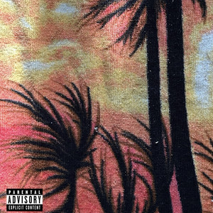 I.D.I.O.T. by SAN VIDA