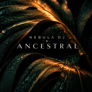 AUREN by NEBULA DJ