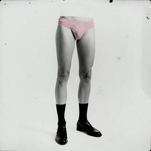 Portada de Flesh Upgrade