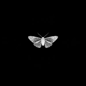winged. - Willrd Remix by I.K.E, Willrd