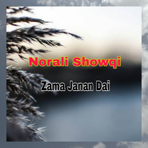 Norali Showqi - Zama Janan