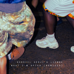 What I'm After - Muddyoush Remix by Gabriel Dedji, lizmnk, Muddyoush