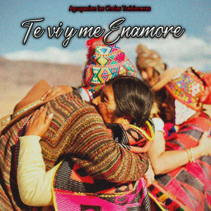 Te Vi y Me Enamore