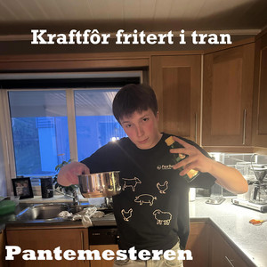 Kraftfôr fritert i tran